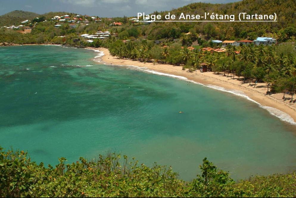 F3 Hibiscus - Piscine Chauffee - Vue Mer - 9 Min De La Plage - Ti Zwezo Paradi Trinite  Esterno foto