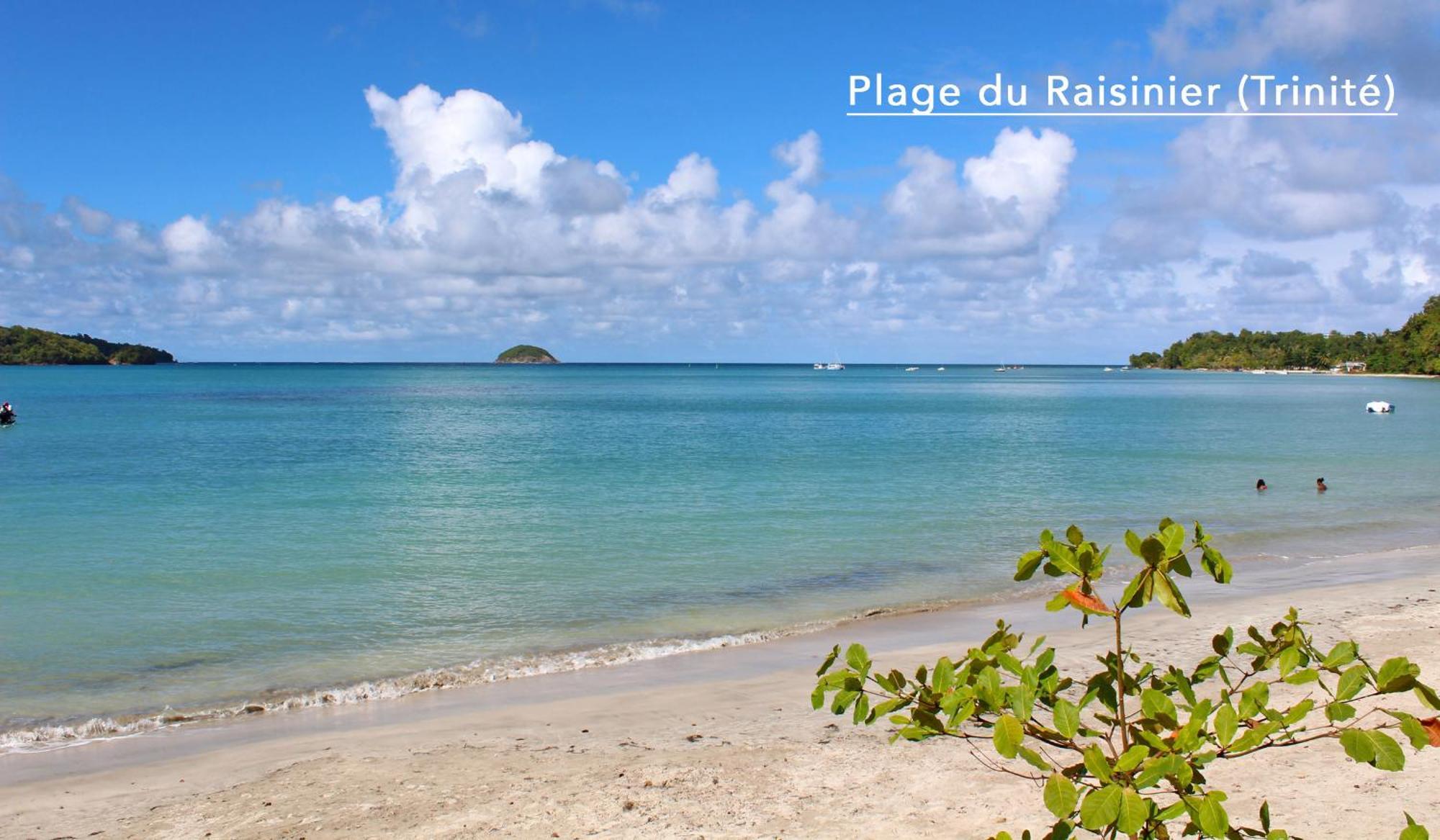 F3 Hibiscus - Piscine Chauffee - Vue Mer - 9 Min De La Plage - Ti Zwezo Paradi Trinite  Esterno foto